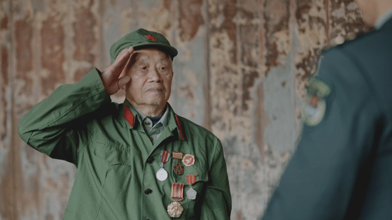 英雄之光丨橄榄树下,酿酒等你70年……