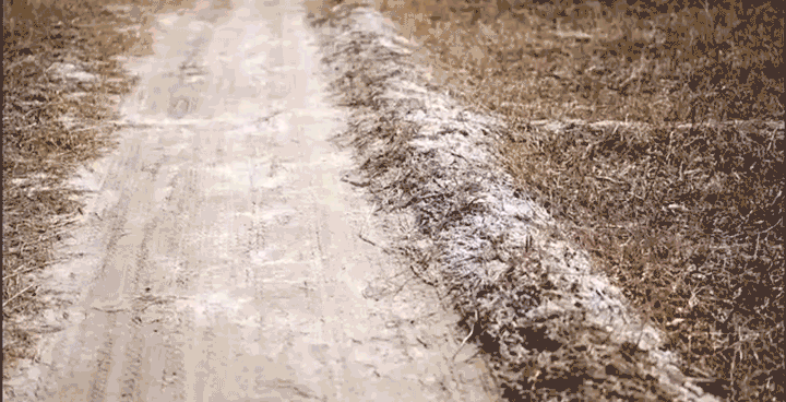 沿着总书记的足迹·新闻多一点 | 盐碱地如何变成丰产田 沿着总书记的足迹·新闻多一点 | 盐碱地如何变成丰产田