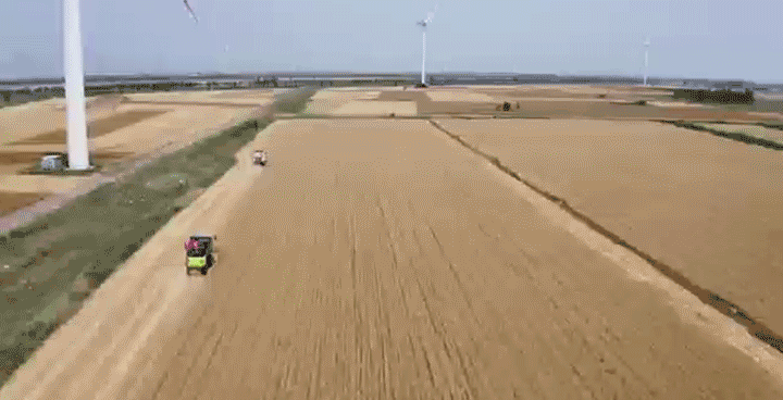 沿着总书记的足迹·新闻多一点 | 盐碱地如何变成丰产田 沿着总书记的足迹·新闻多一点 | 盐碱地如何变成丰产田