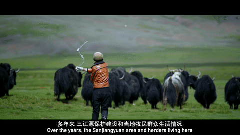 三江之源的生态变迁