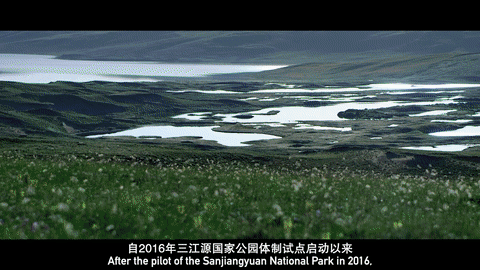 三江之源的生态变迁