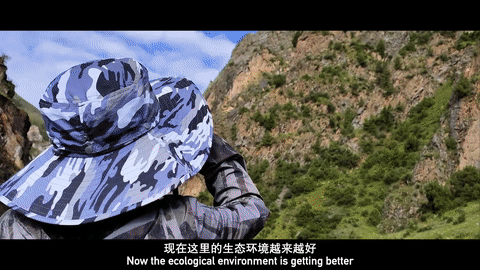 三江之源的生态变迁