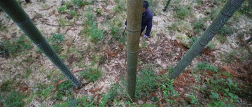 总书记关心的“土特产”丨神山村里竹香浓