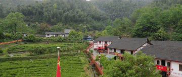 总书记关心的“土特产”丨神山村里竹香浓