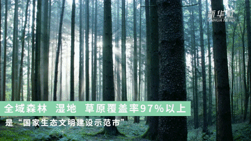 跟着总书记的考察足迹｜这里是中国极北之地——漠河