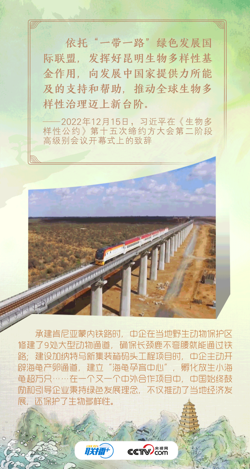 大道之行｜绿色是共建“一带一路”的底色