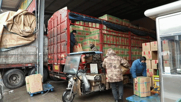 严寒下的守护——各地保障群众安全温暖过冬举措观察