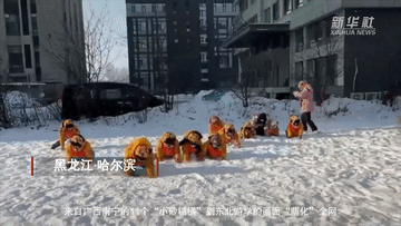 从“尔滨”到南宁：东北“老铁”与广西“老友”的双向奔赴