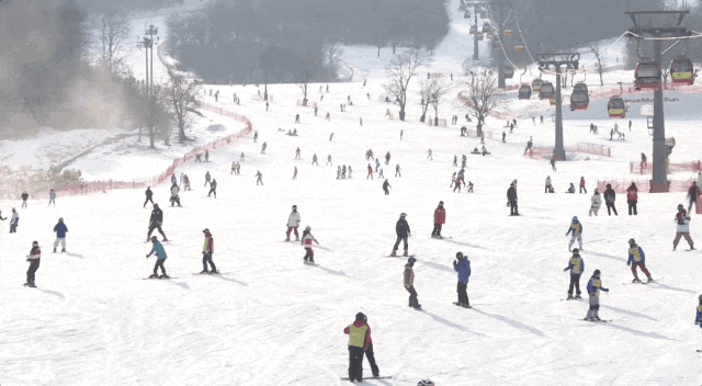 “冷冰雪”如何撬动“热经济”？东北街头观察→
