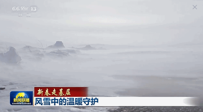 边境踏查、应急救援……这支马背上的警队迎风踏雪守护边疆
