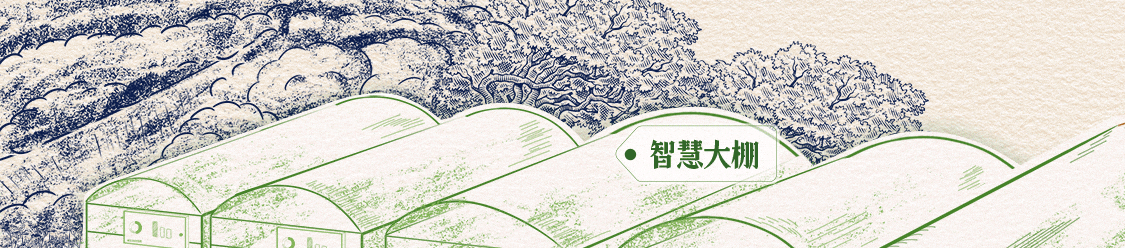 什么是新质生产力？AI+手绘带你看