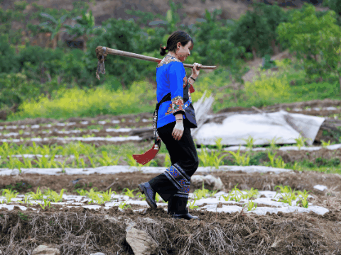 两会·影像链接|听见她们的声音 两会·影像链接|听见她们的声音