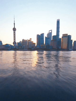 一眼心动的中国丨在上海看见开放的力量