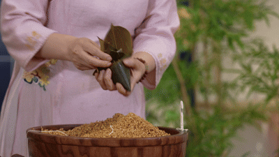 非遗有新人 节庆季：“粽”香千载远 节意万家传