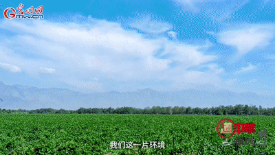 从“卖石头”到“种春天”，两代人的绿色接力