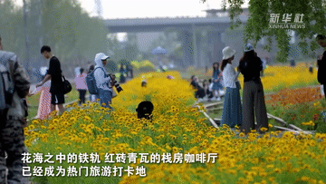 新时代中国调研行之文化中华丨到百年开埠地码头穿越旧时光