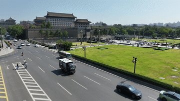 诗意中国丨从岭南到长安——荔枝的十二时辰