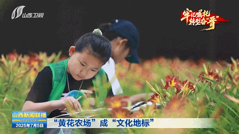 牢记嘱托 转型奋“晋”｜从“一朵黄花”到“一路生花”
