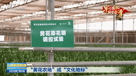 牢记嘱托 转型奋“晋”｜从“一朵黄花”到“一路生花”