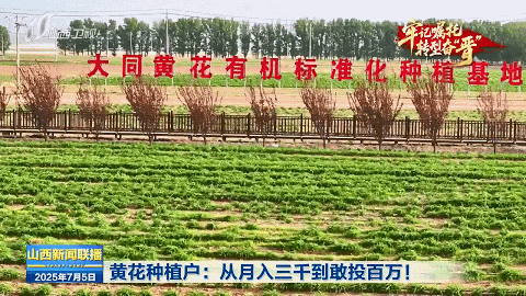 牢记嘱托 转型奋“晋”｜从“一朵黄花”到“一路生花”