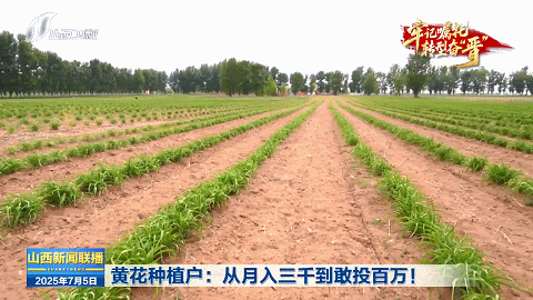 牢记嘱托 转型奋“晋”｜从“一朵黄花”到“一路生花”