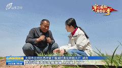 牢记嘱托 转型奋“晋”｜从“一朵黄花”到“一路生花”