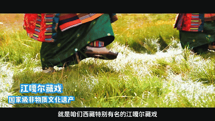 辉煌60年·遇见高原的城｜郎措罗姆带你游仁布