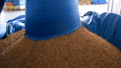 青稞“蜕变”，牦牛“出圈”！看西藏农牧民的“十四五”丰收答卷