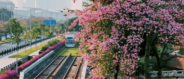 跟着总书记的考察足迹|瞰广东 跟着总书记的考察足迹|瞰广东