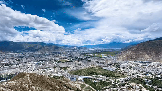 “高冷”经济看发展|海拔4500米,白绒山羊“热”了 “高冷”经济看发展|海拔4500米,白绒山羊“热”了