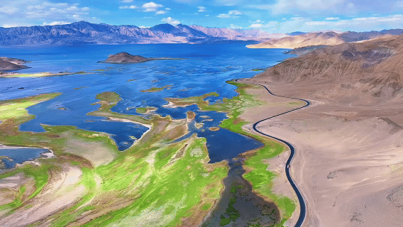 “高冷”经济看发展|绿意攀高!海拔4000米之上的绿色革命 “高冷”经济看发展|绿意攀高!海拔4000米之上的绿色革命