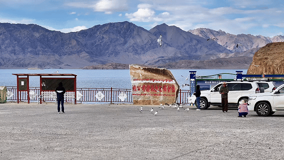 “高冷”经济看发展|绿意攀高!海拔4000米之上的绿色革命 “高冷”经济看发展|绿意攀高!海拔4000米之上的绿色革命