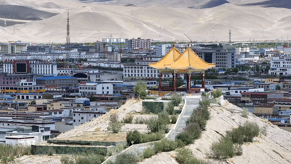 “高冷”经济看发展|绿意攀高!海拔4000米之上的绿色革命 “高冷”经济看发展|绿意攀高!海拔4000米之上的绿色革命