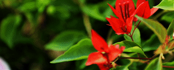 中国经济样本观察·县域样本篇｜这座苏北县城为何吸引30多万年轻人回流返乡？