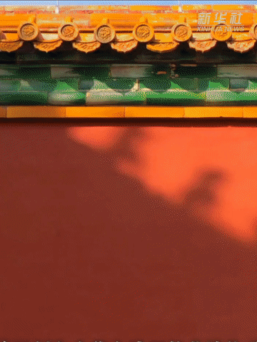 打开2025的记忆盒子｜这些国风，让我们一眼心动