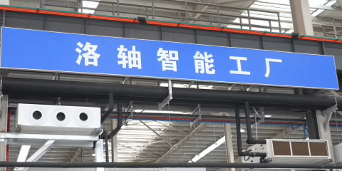 领航2025｜创新之帆