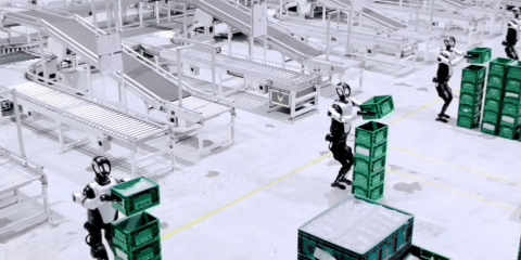 领航2025｜创新之帆