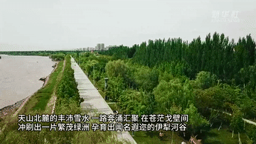 中国之城｜新疆伊宁：天山河谷中的一抹蓝