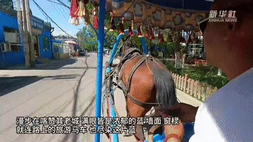 中国之城｜新疆伊宁：天山河谷中的一抹蓝