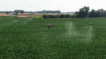 有温度的抵达丨从黑土地出发,她带着“新农具”和乡亲们奔向“幸福路”