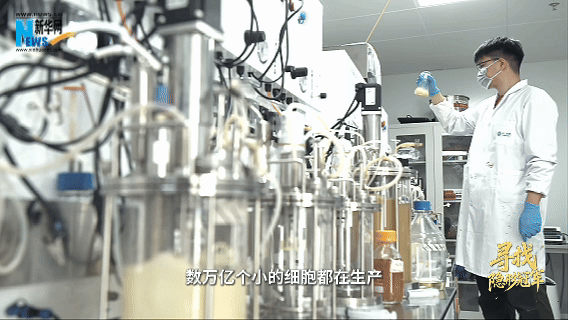 寻找隐形冠军|搭建“细胞工厂” 实现“无中生有”