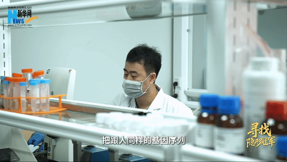 寻找隐形冠军|搭建“细胞工厂” 实现“无中生有”