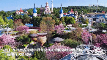 春日经济一线观察｜以花为媒 绘就春日消费新图景