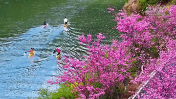 春日经济一线观察｜以花为媒 绘就春日消费新图景