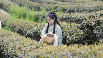 春日经济一线观察｜舌尖春味 激活消费新潜力