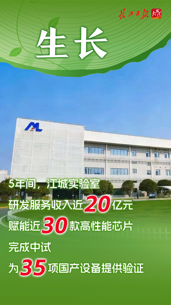 从一棵树到一片林——国家存储产业十年成长记