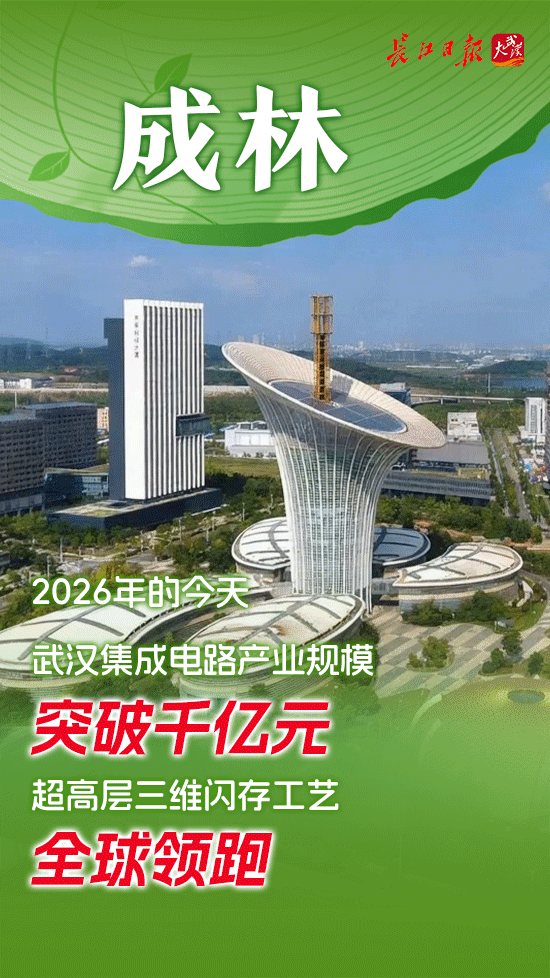 从一棵树到一片林——国家存储产业十年成长记