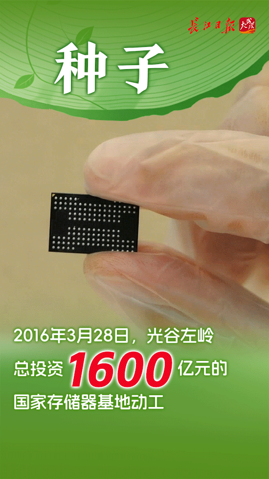 从一棵树到一片林——国家存储产业十年成长记