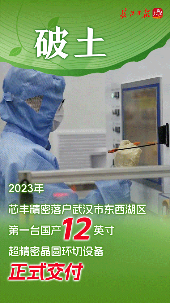 从一棵树到一片林——国家存储产业十年成长记