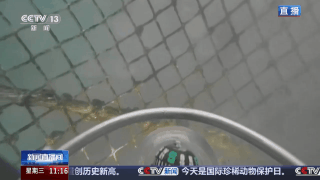 奋进“十五五” 实干开新局丨经验养殖→数据驱动 新场景激活渔业新动能